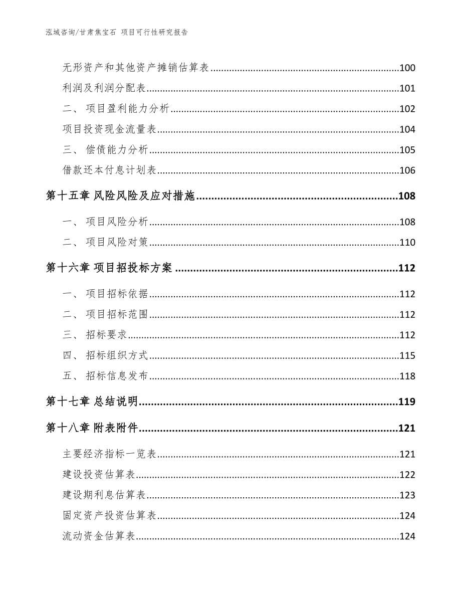 甘肃焦宝石 项目可行性研究报告（模板范本）_第5页