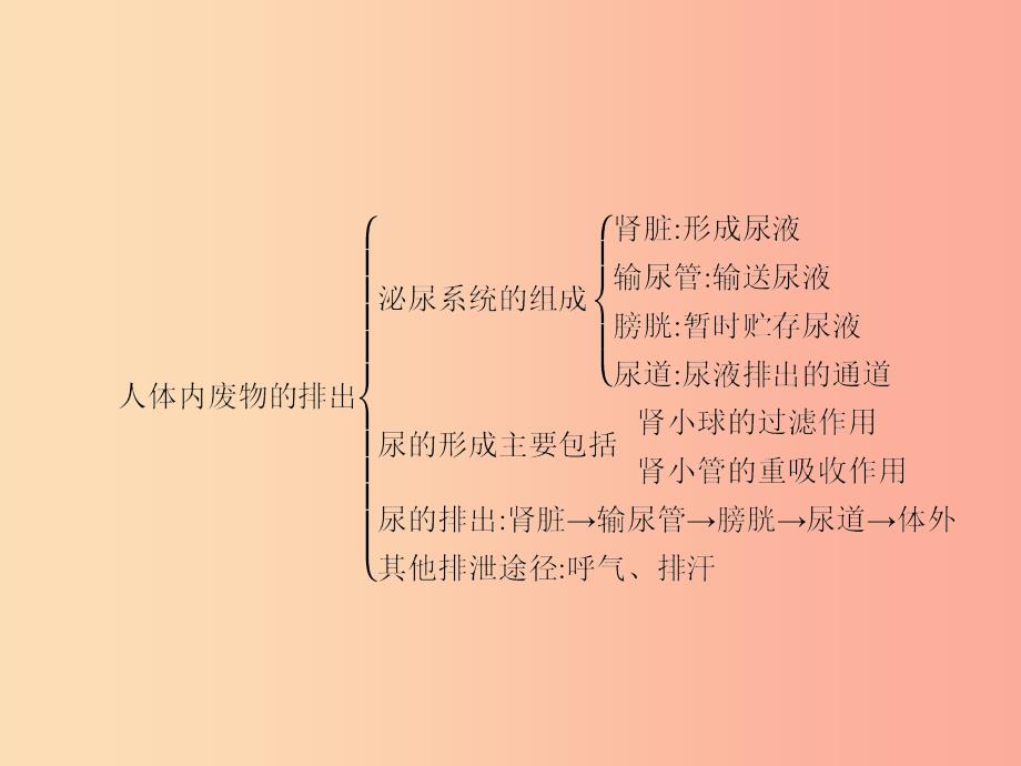 福建专版2019春七年级生物下册第四单元生物圈中的人第四章人体内物质的运输第五章整合课件 新人教版.ppt_第3页