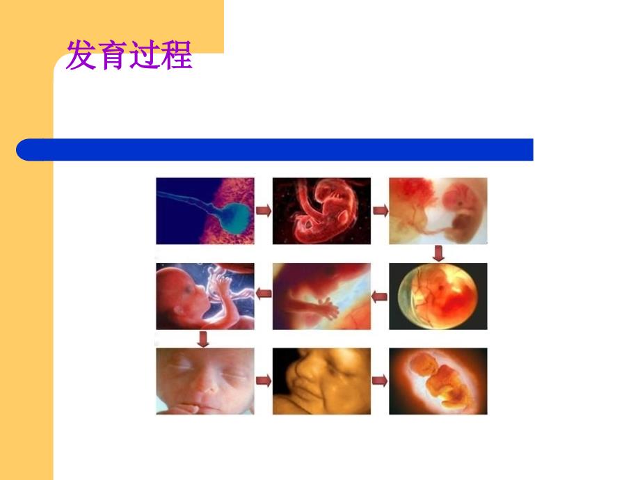 妇科B超在妇产科中的应用_第2页