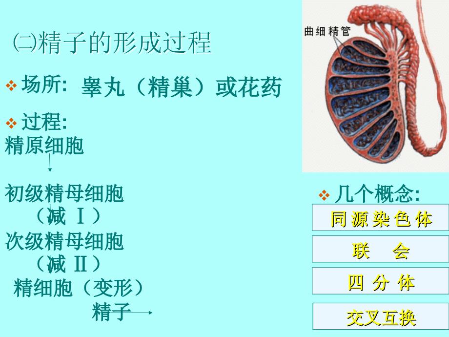 必修二2-1_第3页