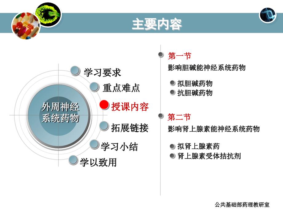 51第五章外周神经系统药物1课件_第4页