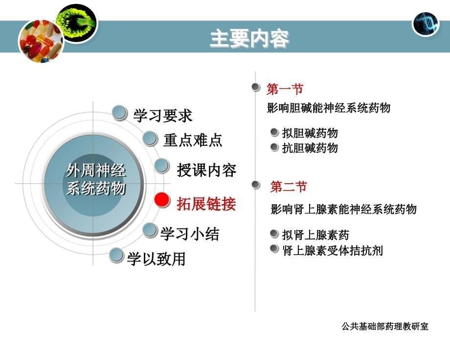 51第五章外周神经系统药物1课件_第5页