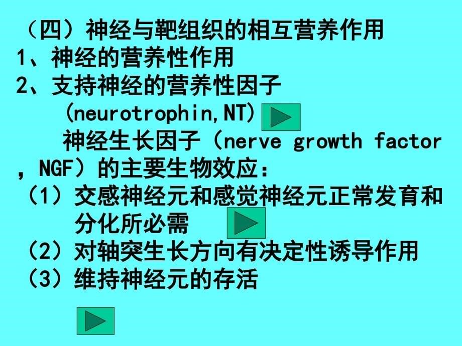 生理学课件第十章神经系统的功能_第5页