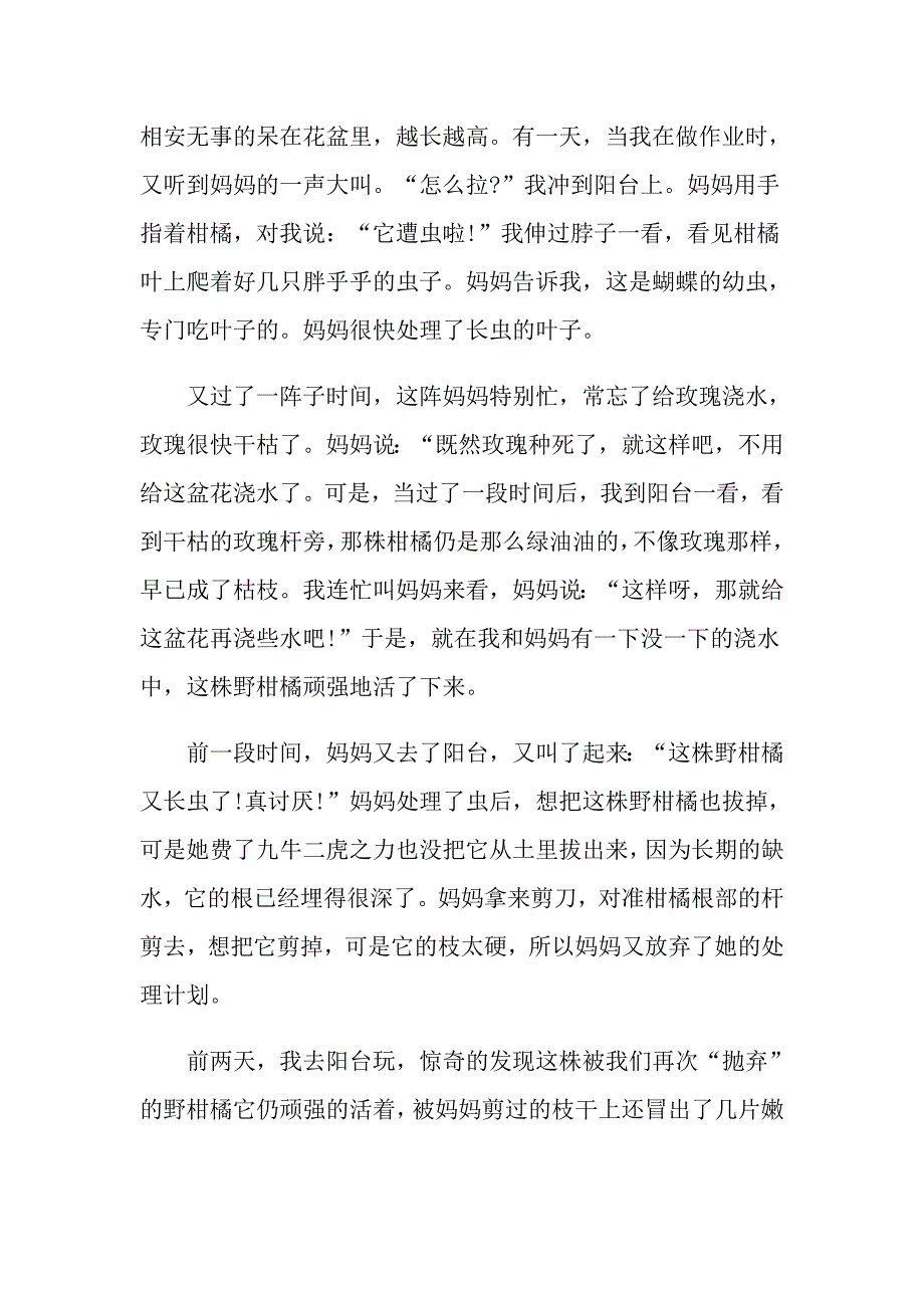 生命的力量小学作文5篇经典范文合集_第3页