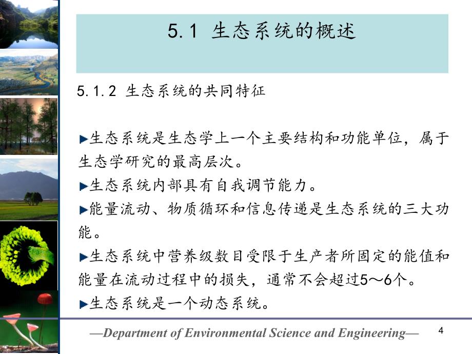 生态系统生态学分享资料_第4页