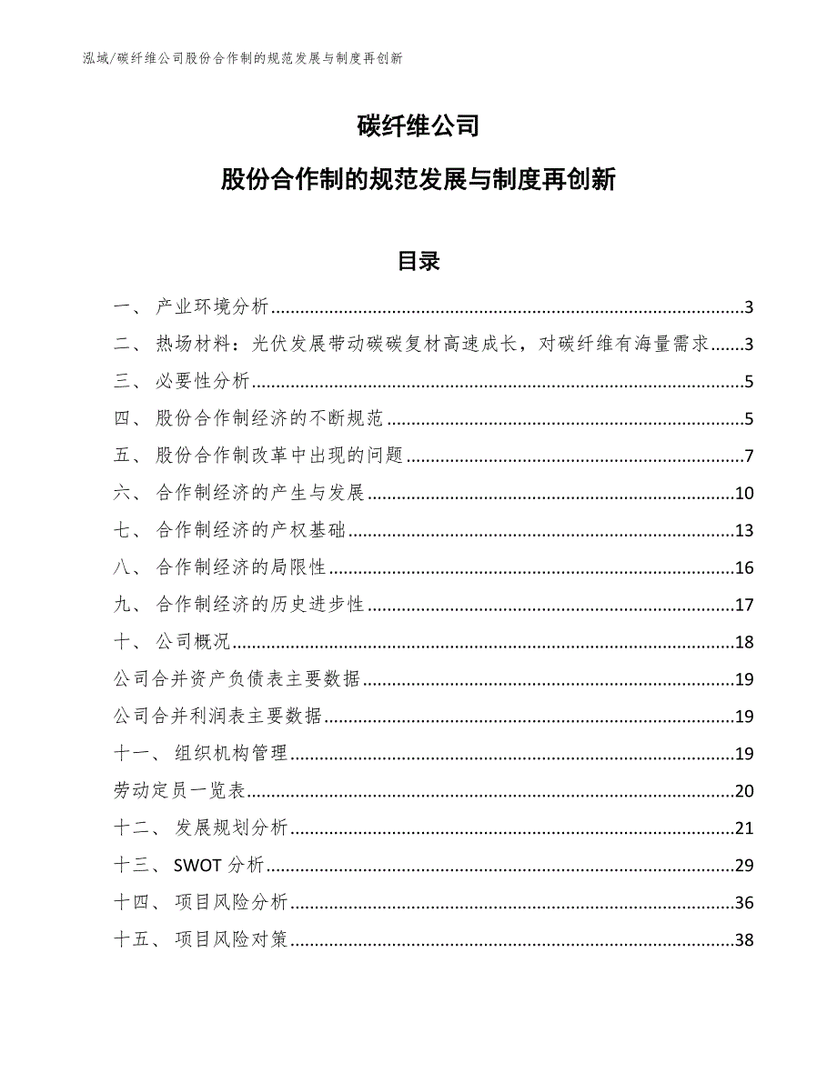 碳纤维公司股份合作制的规范发展与制度再创新（参考）_第1页