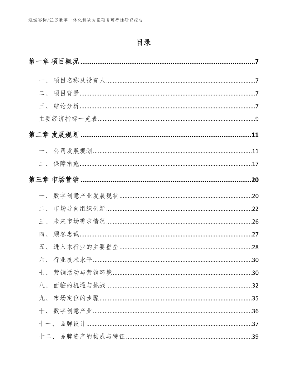 江苏数字一体化解决方案项目可行性研究报告（模板）_第1页