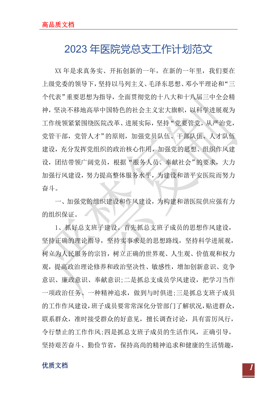 2023年医院党总支工作计划范文_第1页