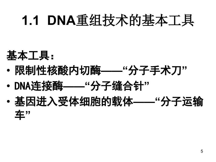 DNA重组技术的基本工具上课用ppt课件_第5页