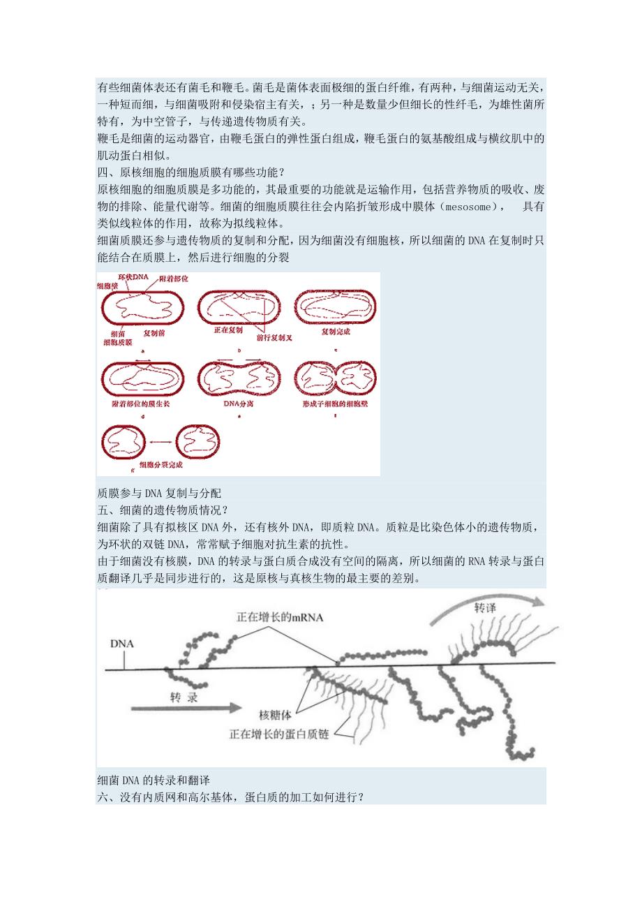 生物课外阅读1_第2页