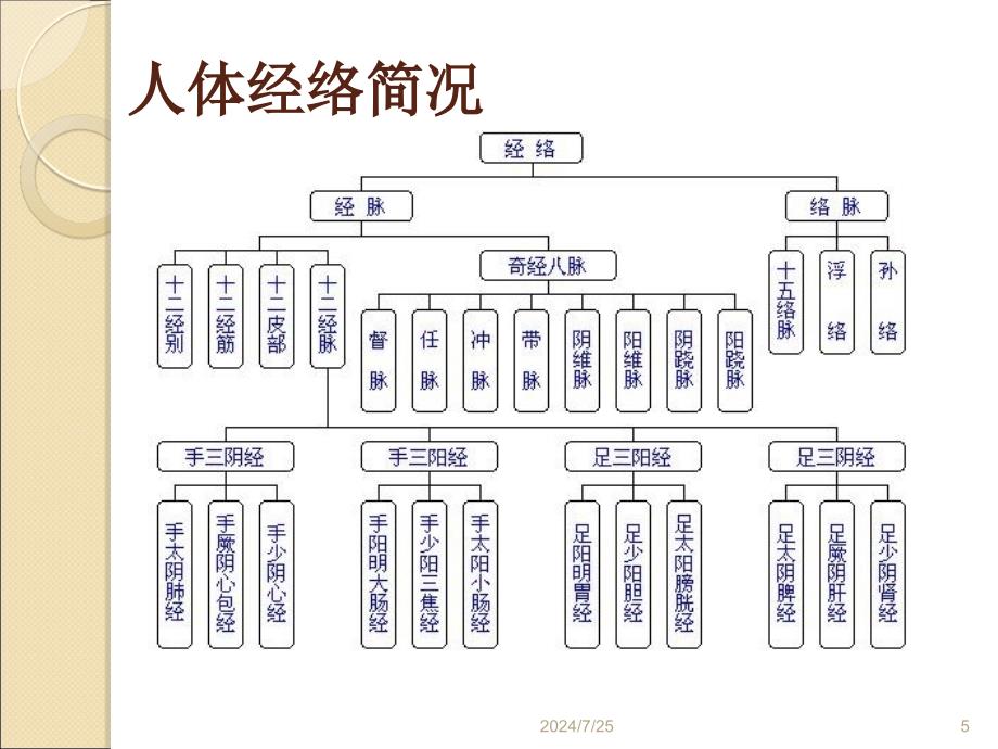 中医养生讲座经典经络保健ppt课件_第5页