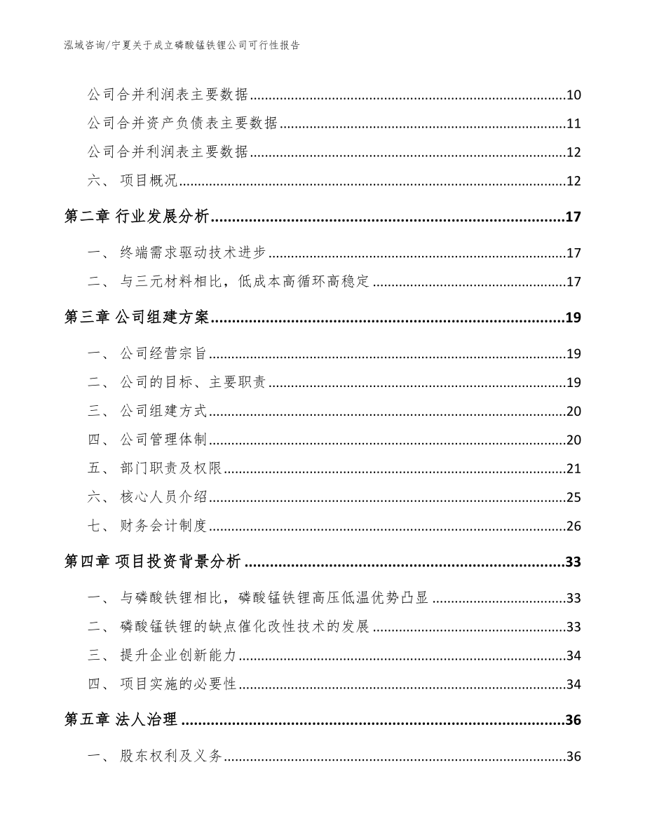 宁夏关于成立磷酸锰铁锂公司可行性报告（模板范文）_第4页