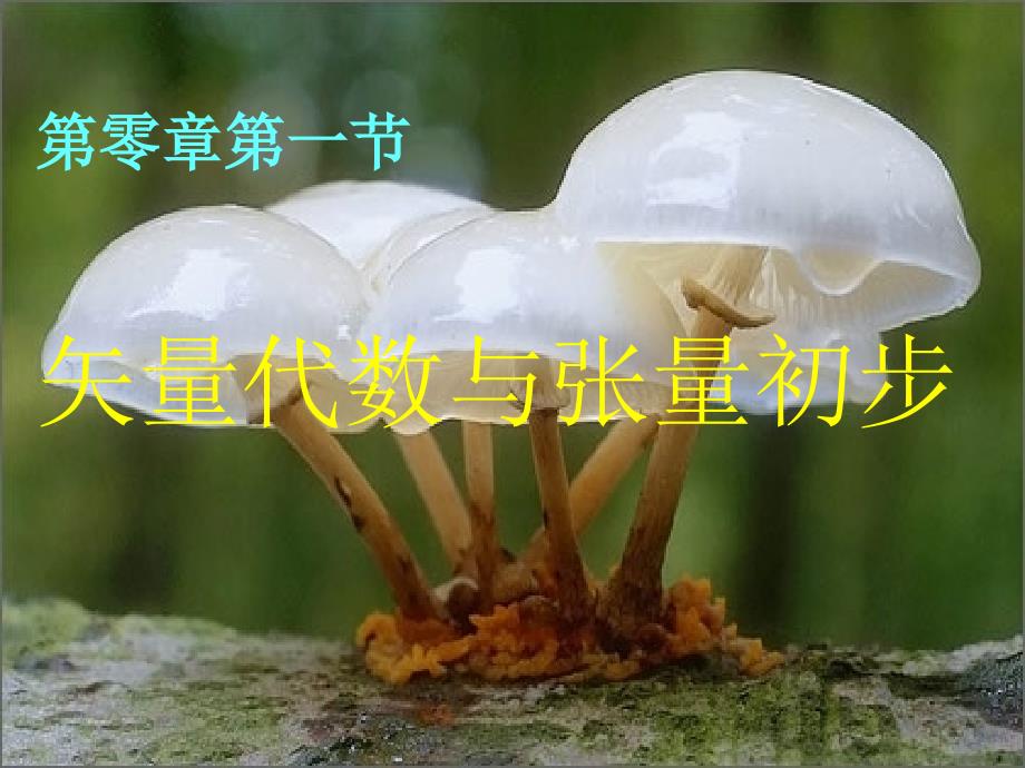 绪论及数学准备_第2页