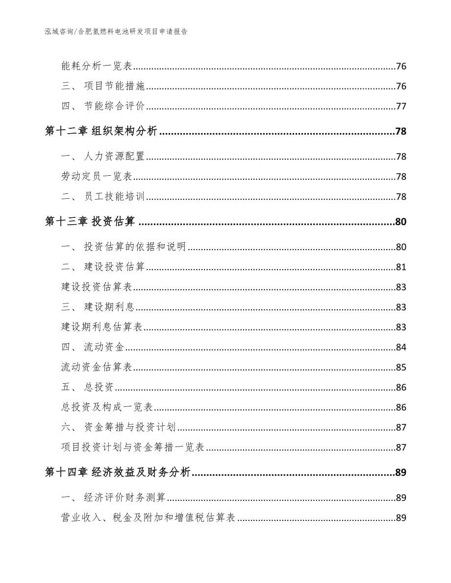 合肥氢燃料电池研发项目申请报告_第5页