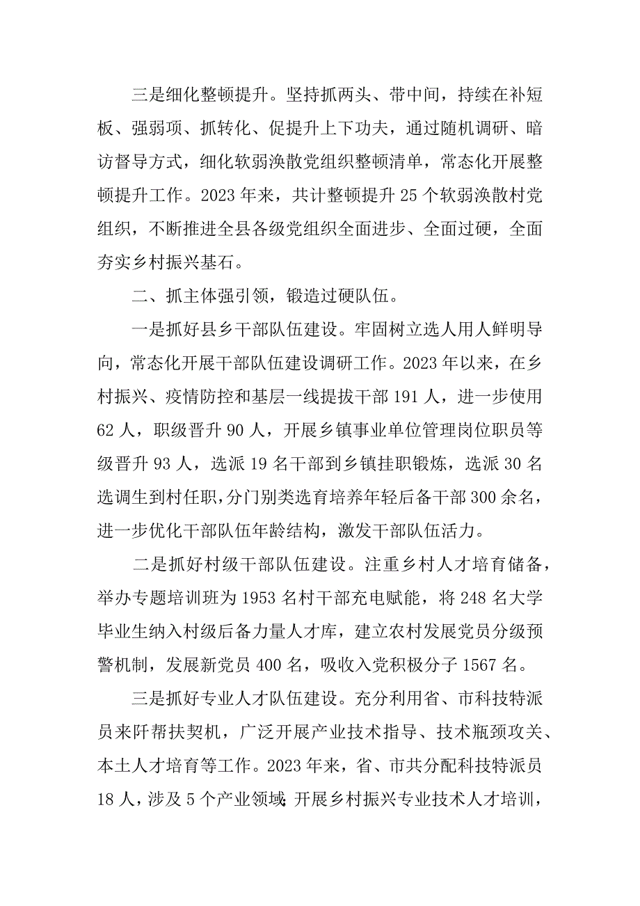 2023年党建引领乡村振兴汇报材料_第2页