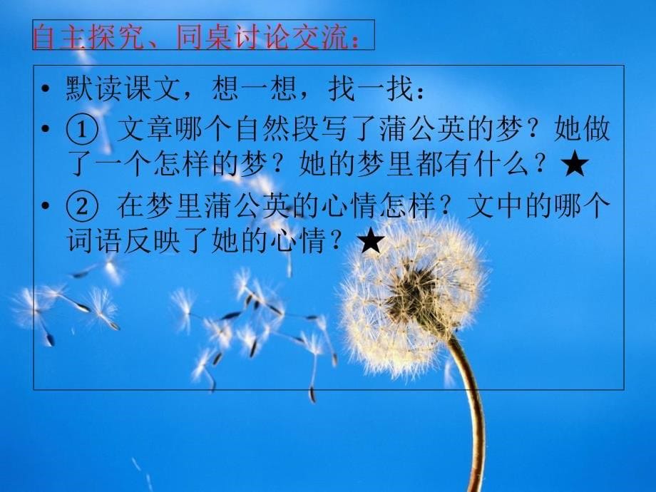 蒲公英的梦课件_第5页