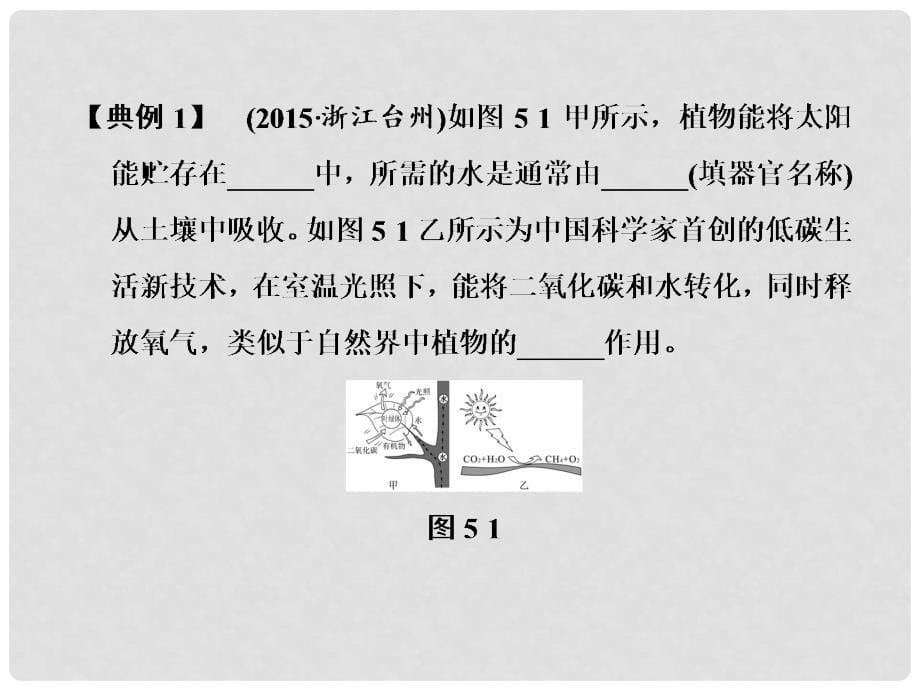 浙江省中考科学 第5课 绿色植物的新陈代谢（2）复习课件_第5页