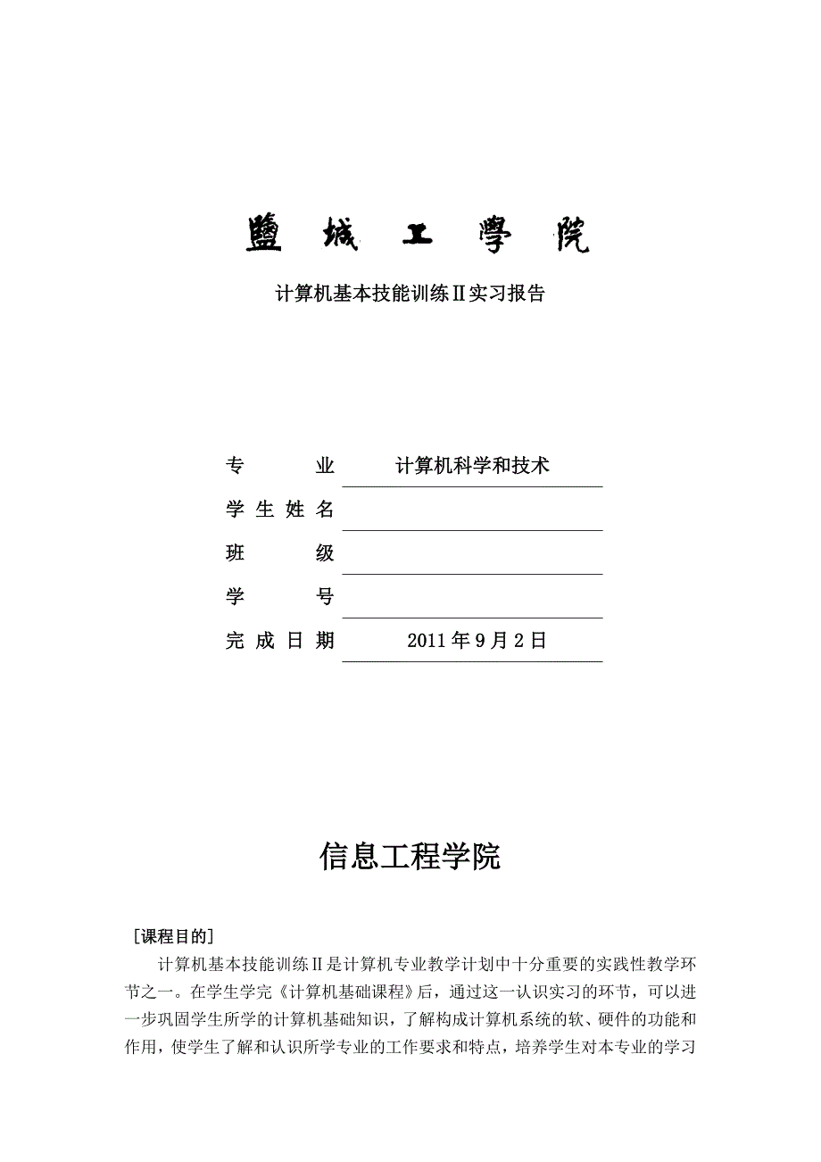 计算机基本技能训练2实习报告格式_第1页