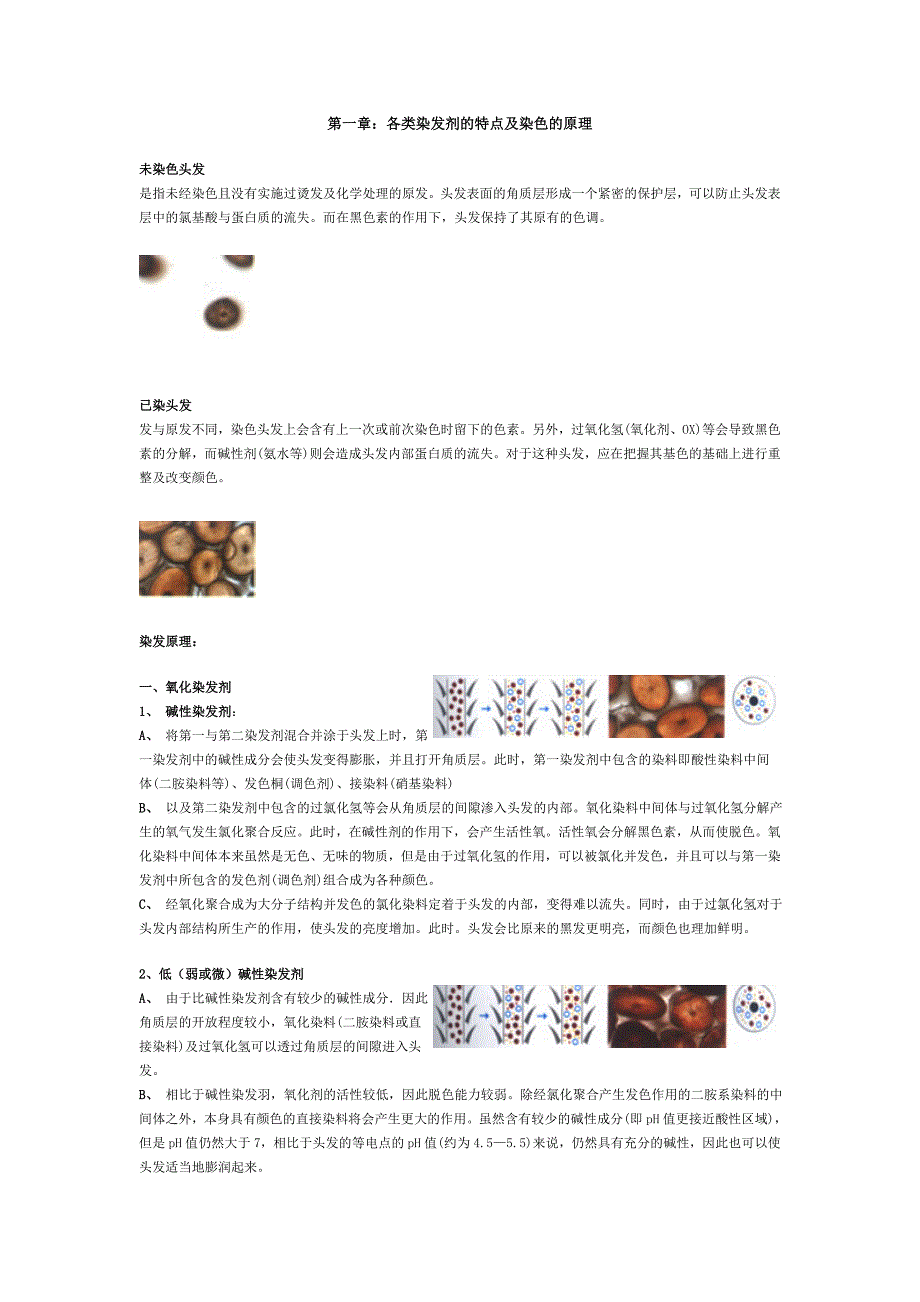 染发产品成分及作用原理_第1页