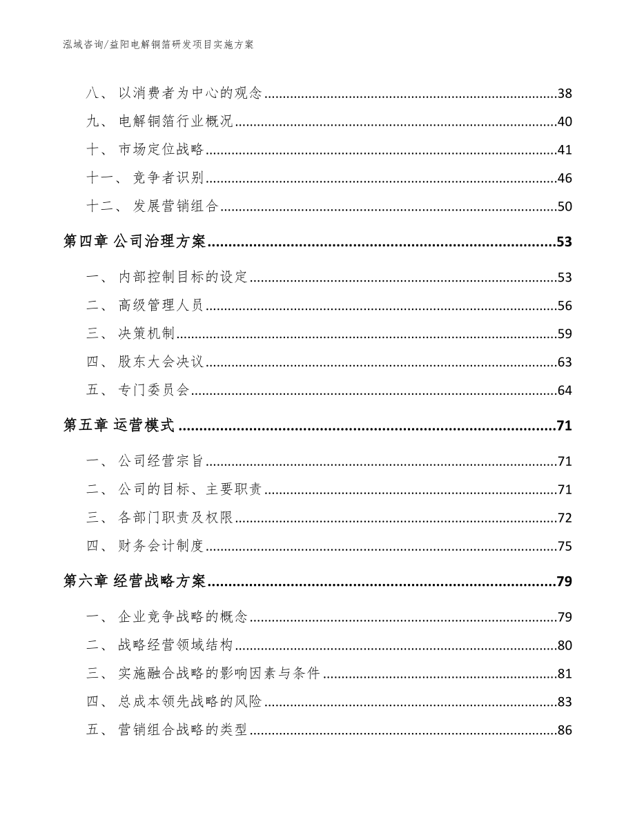 益阳电解铜箔研发项目实施方案（模板范本）_第3页