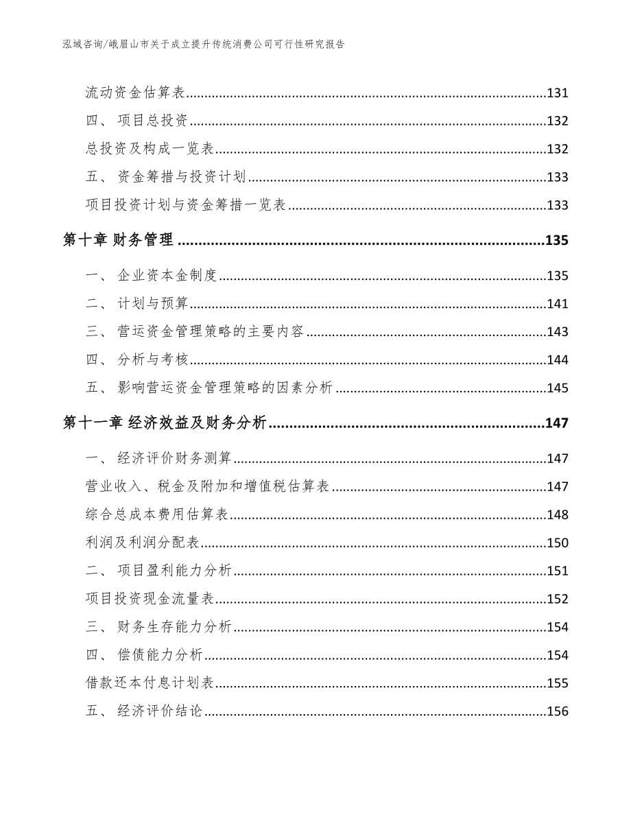 峨眉山市关于成立提升传统消费公司可行性研究报告_第5页