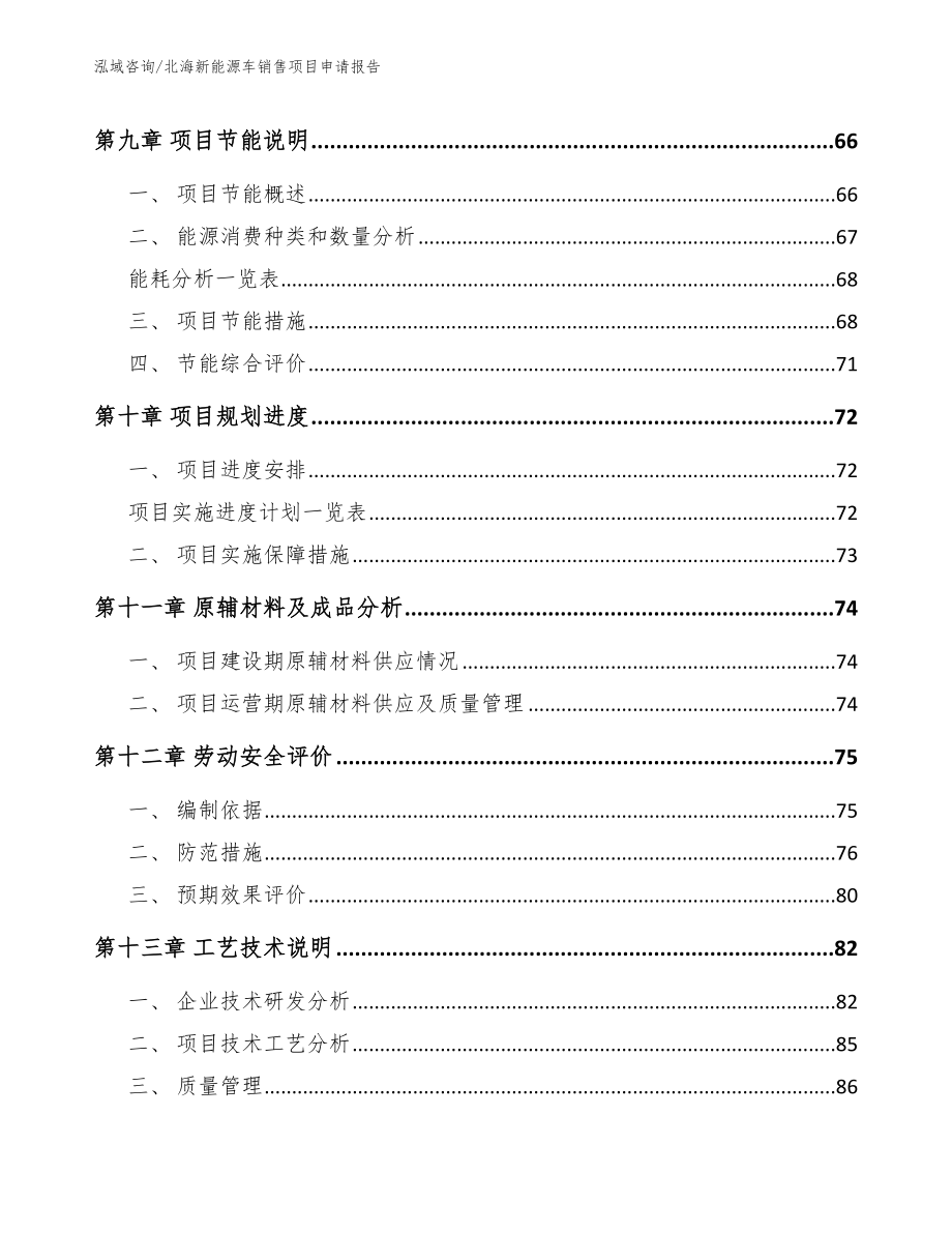 北海新能源车销售项目申请报告范文模板_第4页