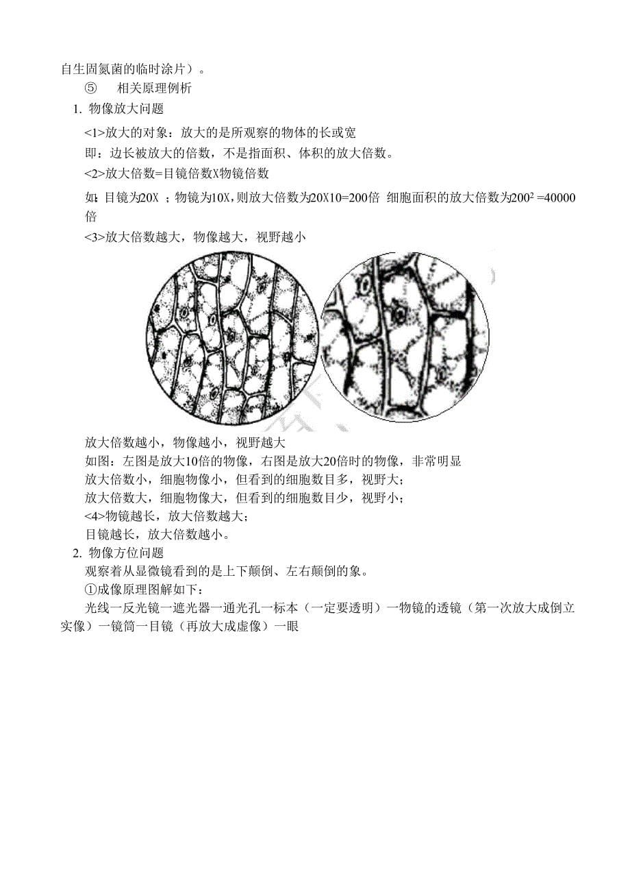 显微镜的结构和使用、装片的制作_第5页