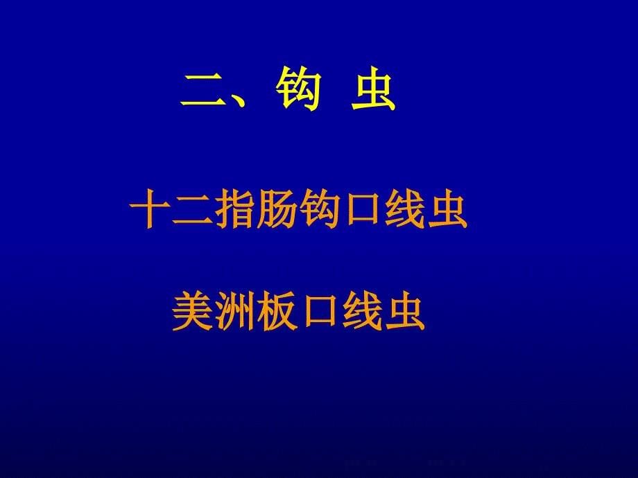 线虫和绦虫实验_第5页