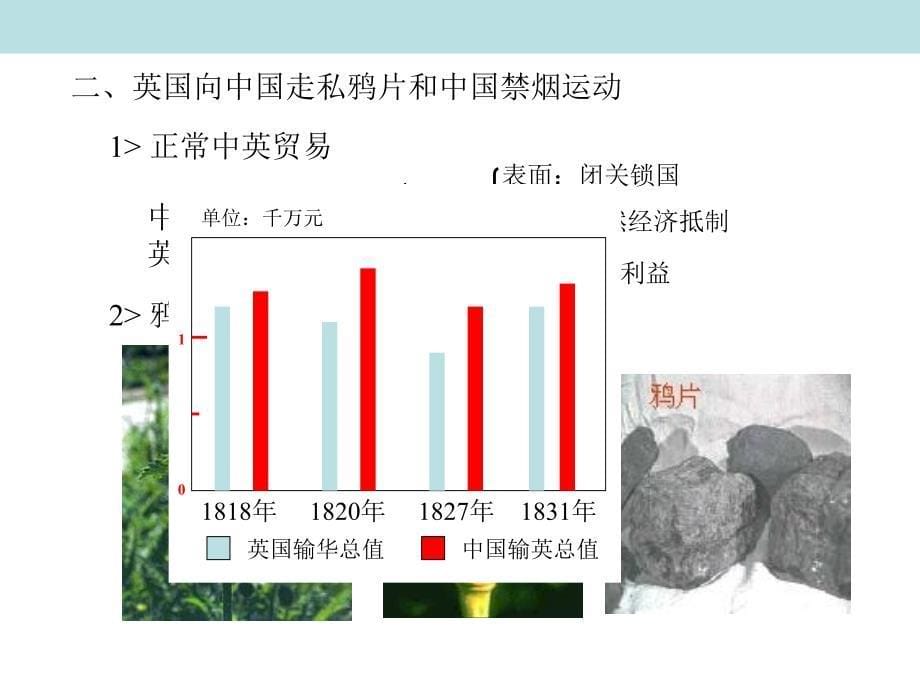 人教版---鸦片战争优秀课件33_第5页