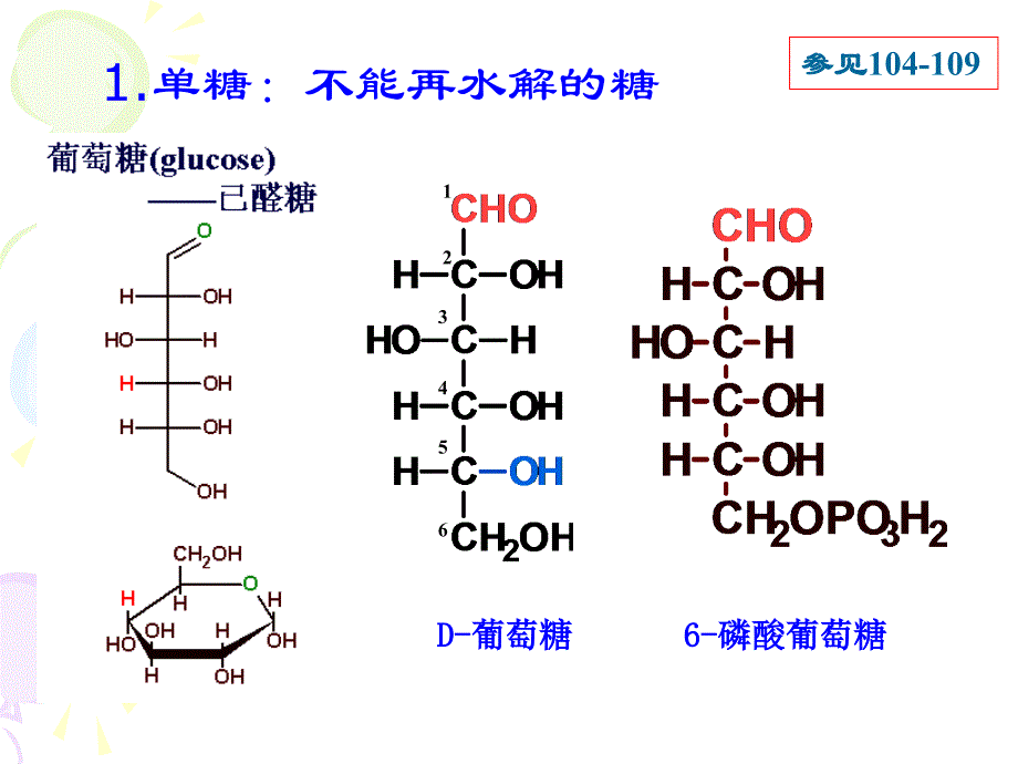 生物化学糖类与糖代谢_第4页