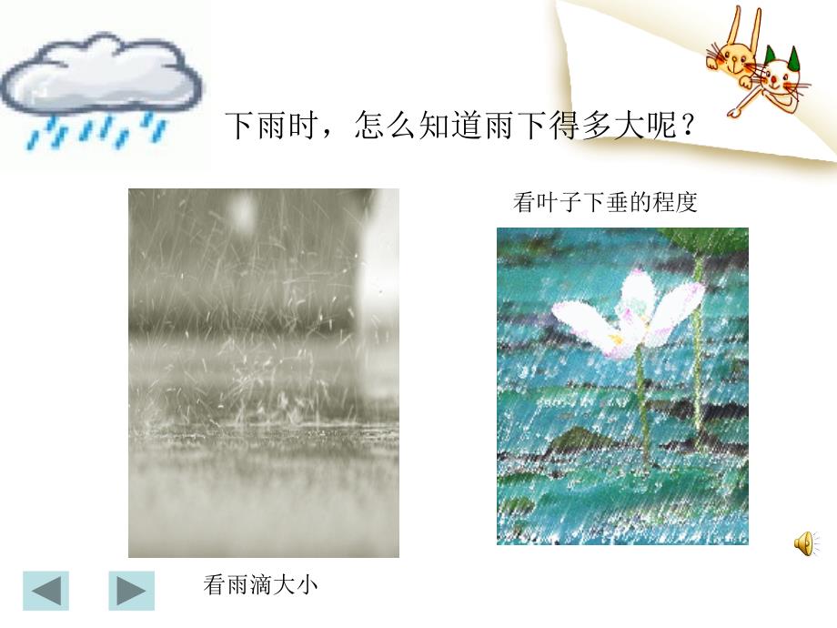 青岛版小学科学三年级上册《我的雨量器》精品课件_第4页