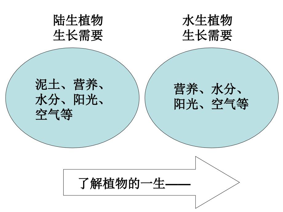 教科版三年级上册一单元7课_第3页