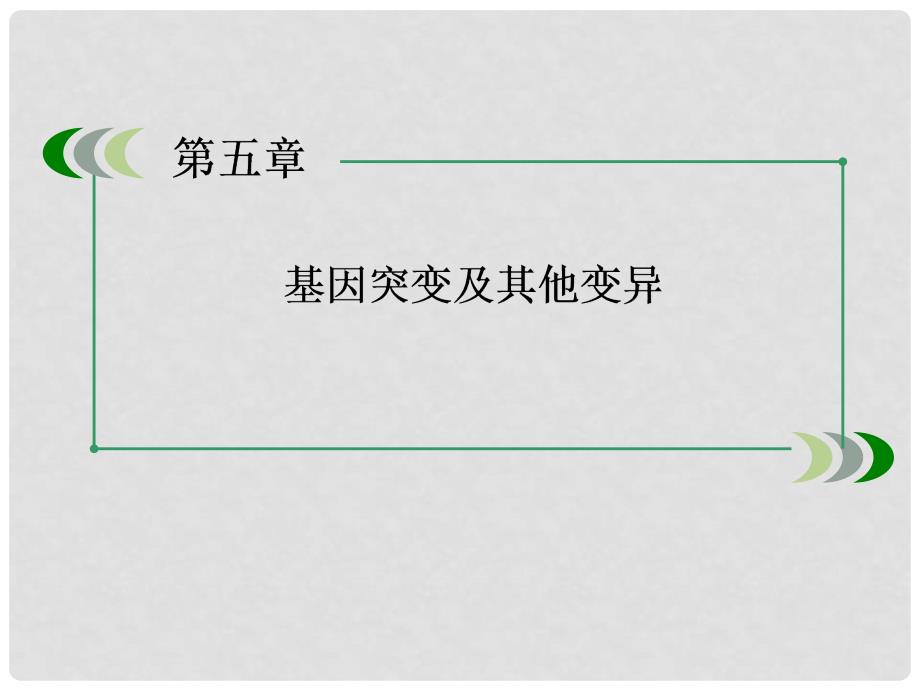 高中生物 52 染色体变异课件 新人教版必修2_第2页