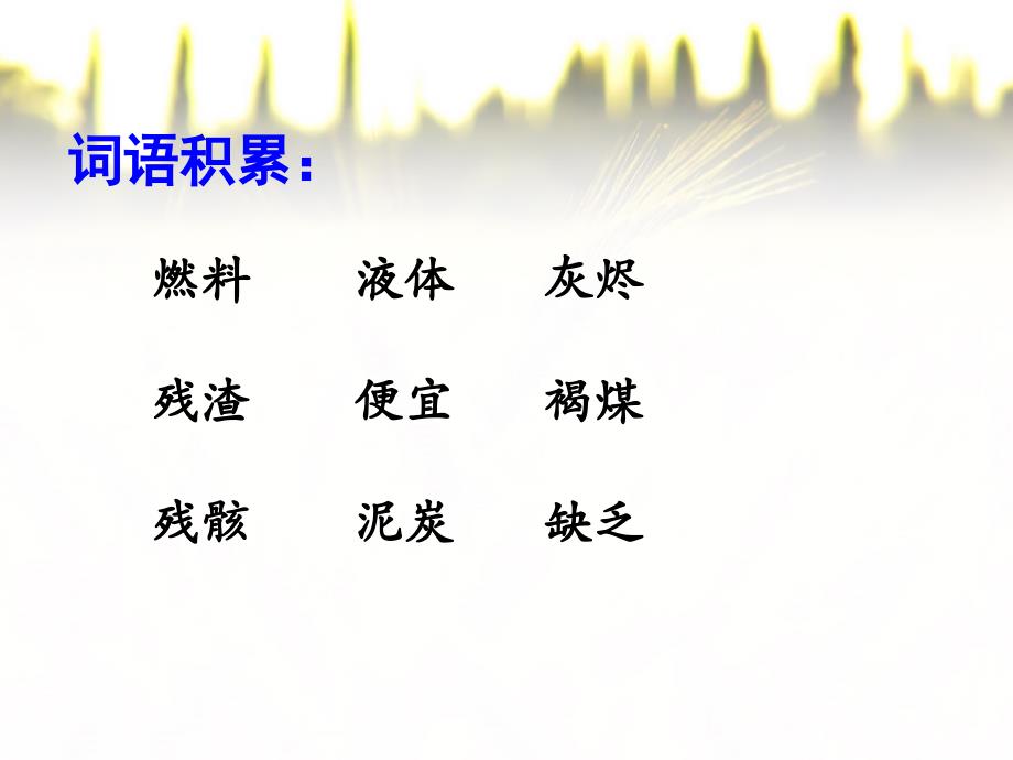 《燃料的家庭》ppt课件-优质公开课-西南师大五下_第3页