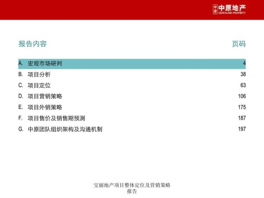 宝丽地产项目整体定位及营销策略报告课件_第3页