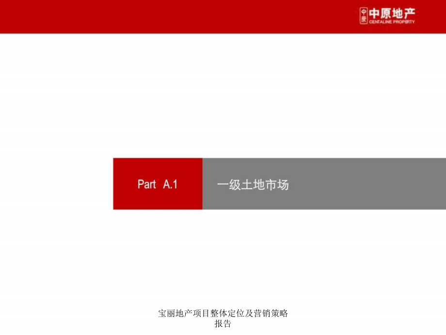 宝丽地产项目整体定位及营销策略报告课件_第4页