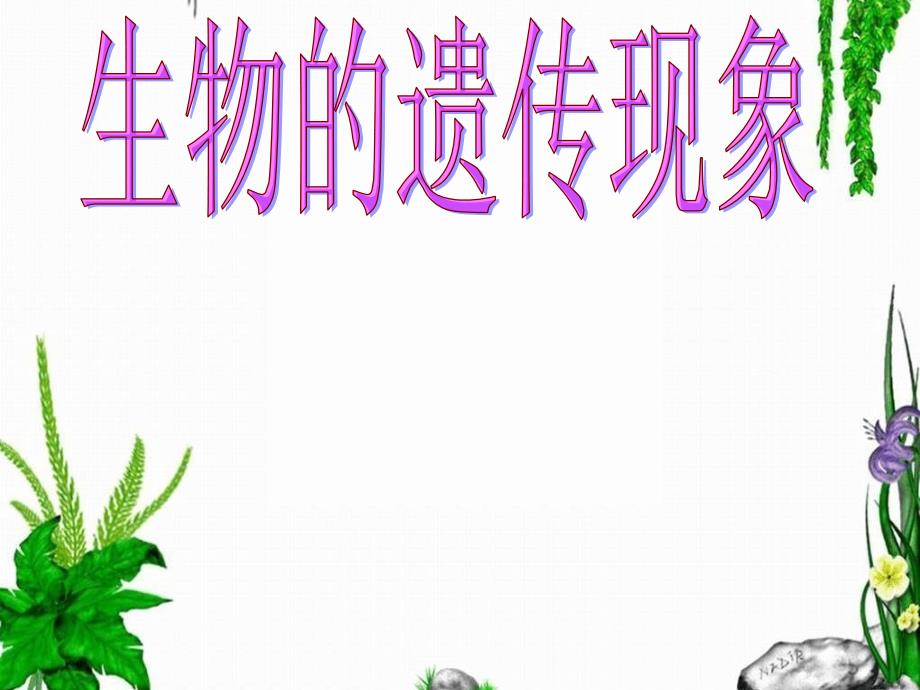 生物的遗传现象_第1页