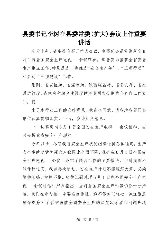 2023年县委书记李树在县委常委扩大会议上作重要致辞.docx