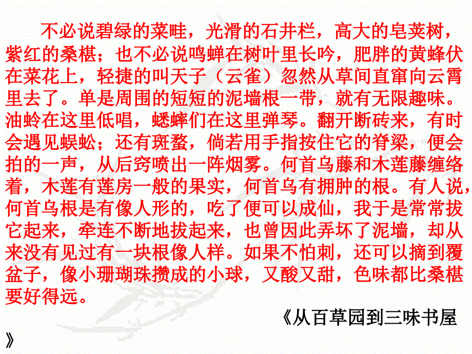 作文课件细节描写课件_第4页