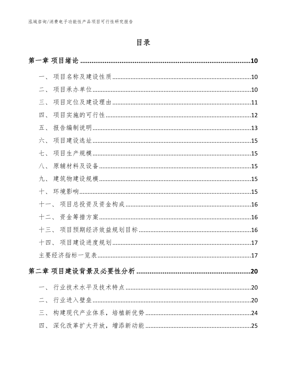 消费电子功能性产品项目可行性研究报告模板参考_第2页