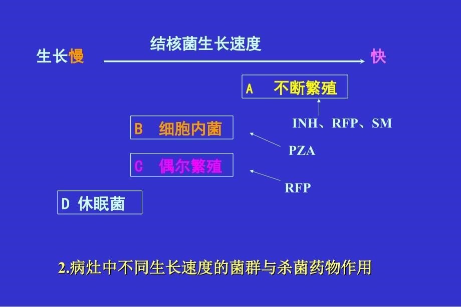 苏州大学药学用肺结核_第5页