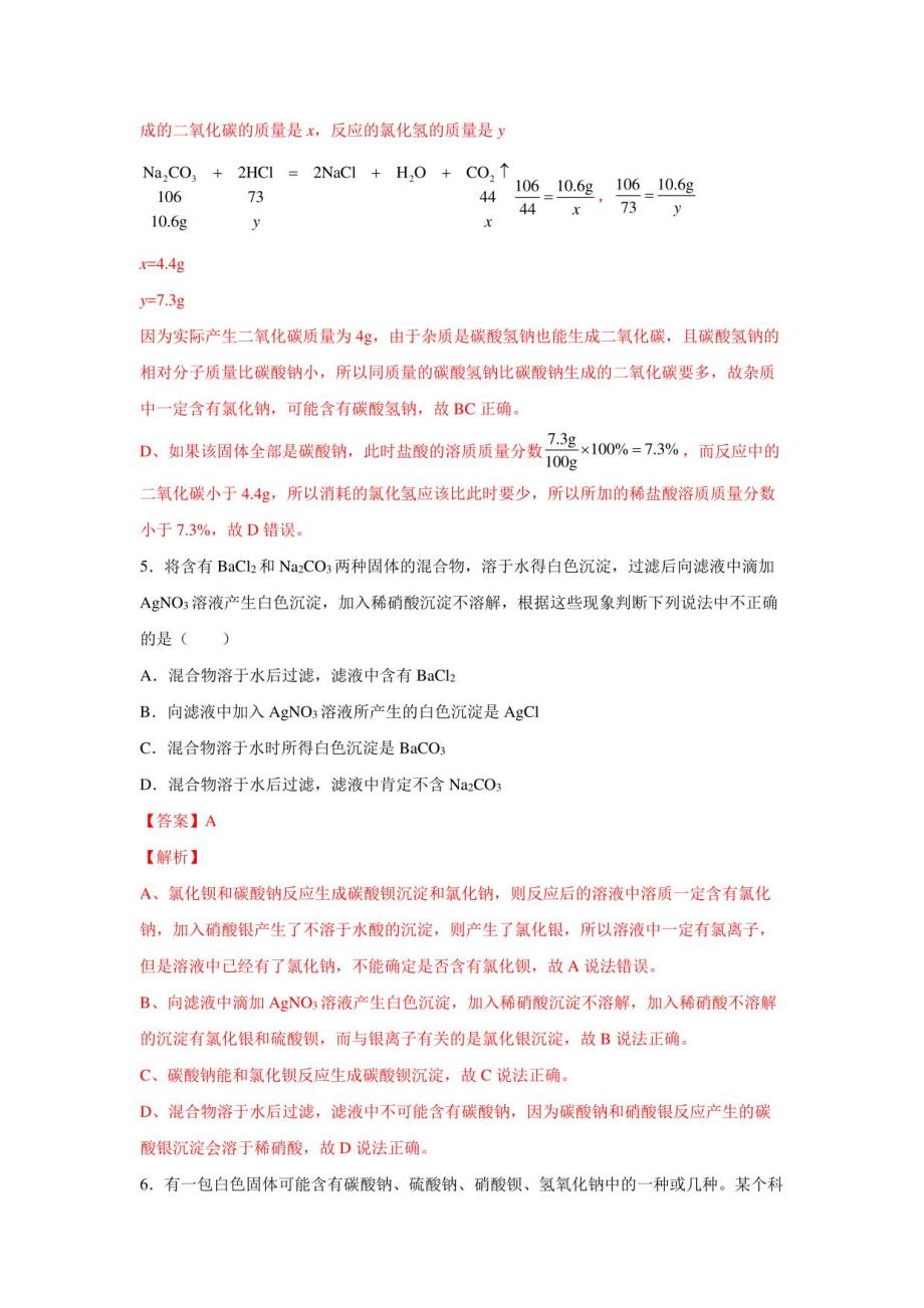 2022-2023学年浙江九年级上学期科学同步练习物质的成分探究专题_第4页