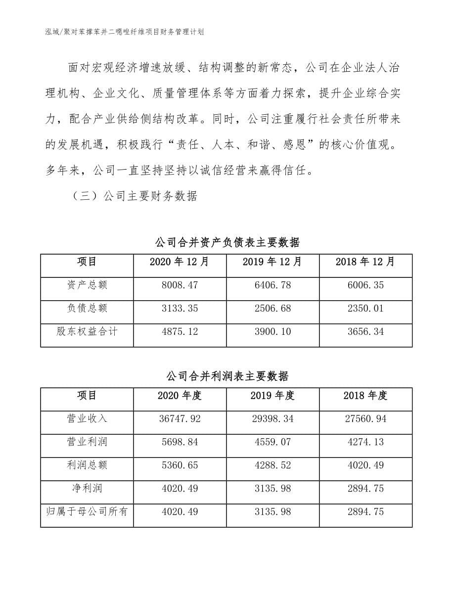 聚对苯撑苯并二噁唑纤维项目财务管理计划（范文）_第5页