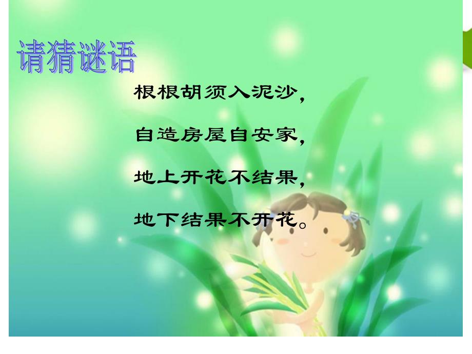 五年级语文上册落花生冠华小学严葵_第2页