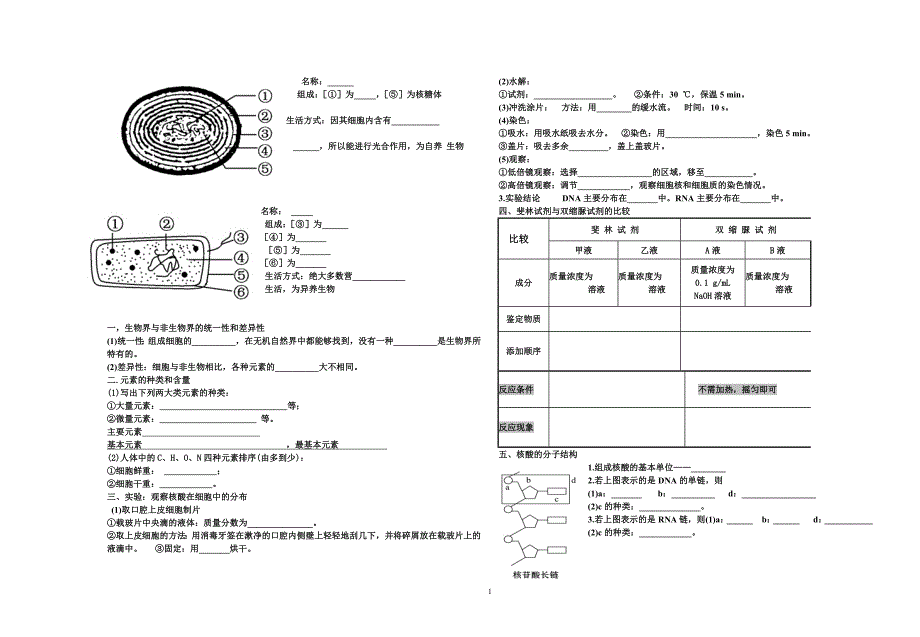 基础知识 .doc_第1页