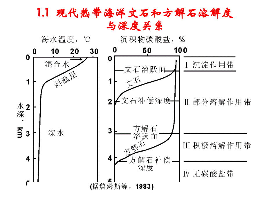 碳酸盐岩成岩后生作用_第3页