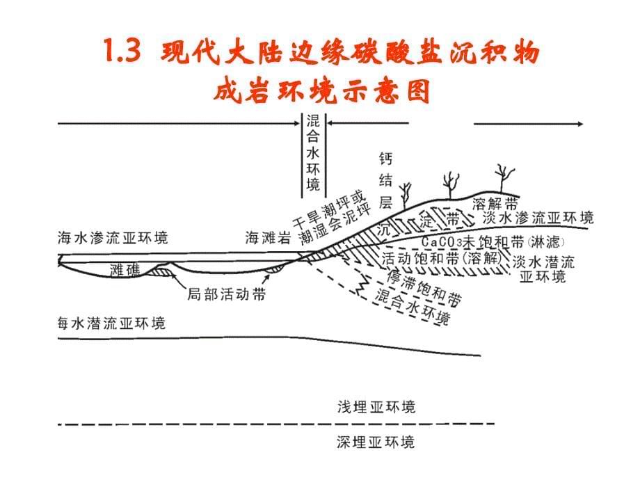 碳酸盐岩成岩后生作用_第5页