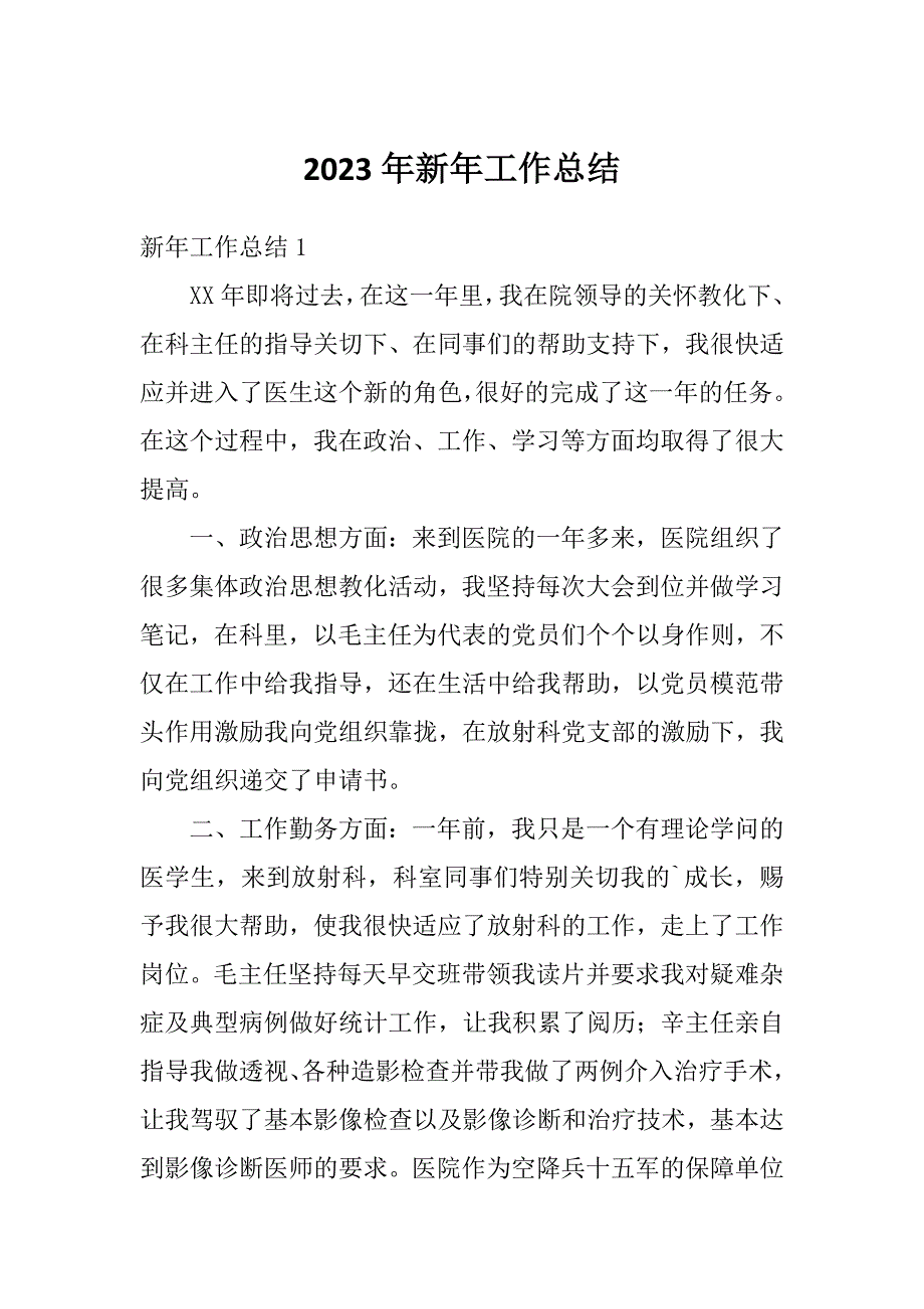 2023年新年工作总结_第1页