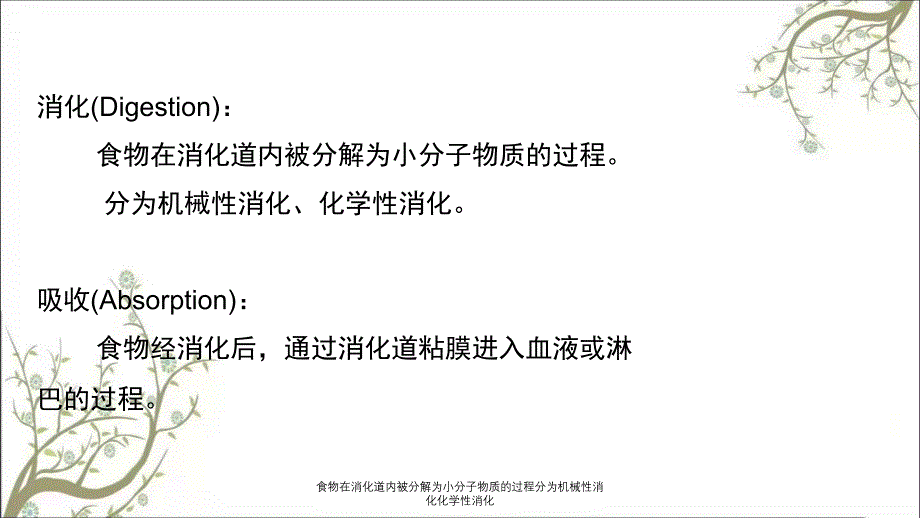 食物在消化道内被分解为小分子物质的过程分为机械性消化化学性消化_第2页