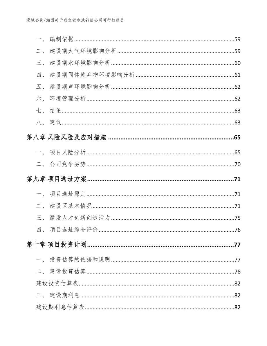 湘西关于成立锂电池铜箔公司可行性报告范文参考_第5页